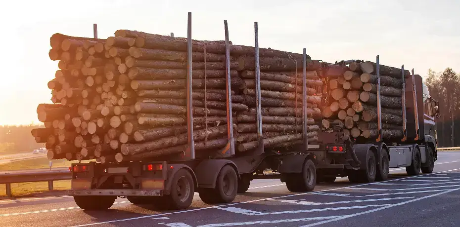 Duluth Logging Truck Accident Attorney